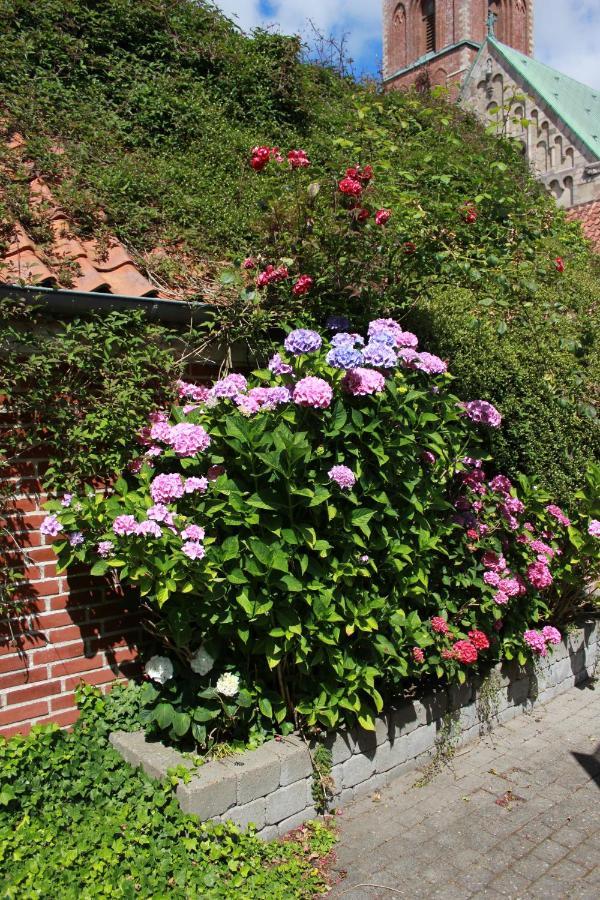 Ribe Ferielejlighed Bagian luar foto