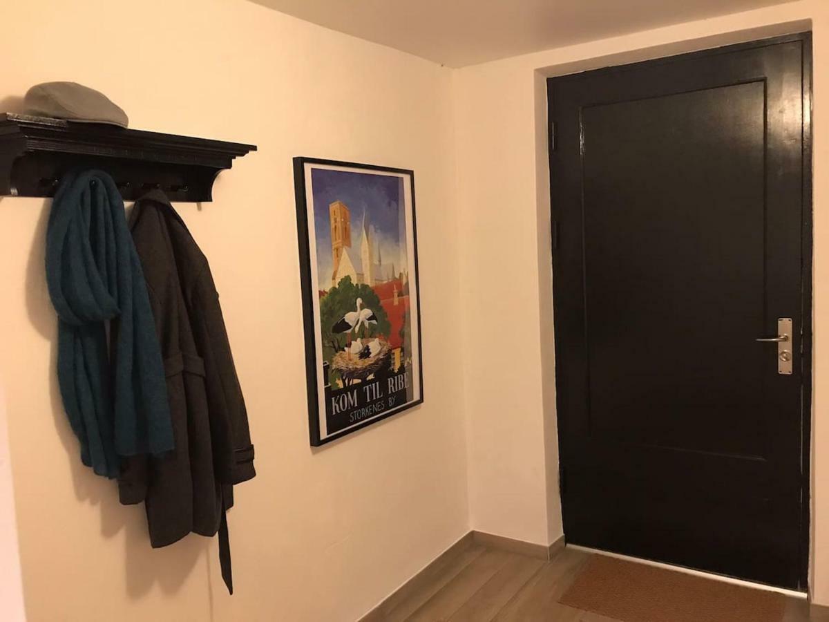 Ribe Ferielejlighed Bagian luar foto